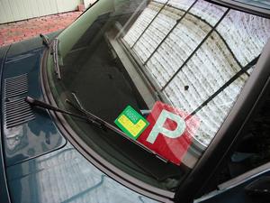 car_trim 010.jpg